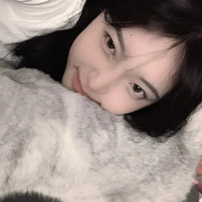 银发的阿基多